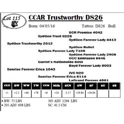 CCAR Trustworthy D826