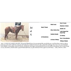 Ranch Horse - Max