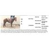 Image 1 : Ranch Horse - Max
