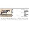 Image 1 : Ranch Horse - Remme