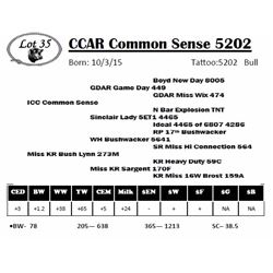 CCAR Common Sense 5202