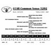 Image 1 : CCAR Common Sense 5202