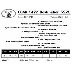 CCAR 1472 Destination 5228