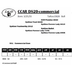 CCAR D820-commercial