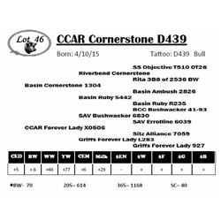 CCAR Cornerstone D439