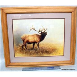 FRAMED WILDLIFE PRINTS