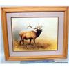 Image 1 : FRAMED WILDLIFE PRINTS