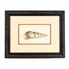 Image 1 : Sowerby by Leigh Vintage Limited Edition Etching