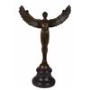 Image 1 : Icarus