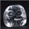 Image 5 : Lot 6 Glass Owls