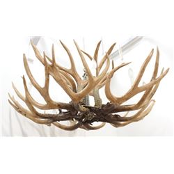 10-Light Deer Horn Chandelier