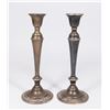 Image 1 : Wild Rose International Weighted Candlesticks