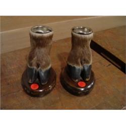 Set of Elk Hoof Ashtrays