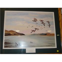 'Flight Columbia' Ducks Unlimited Print