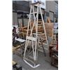Image 1 : 3 STEPLADDERS