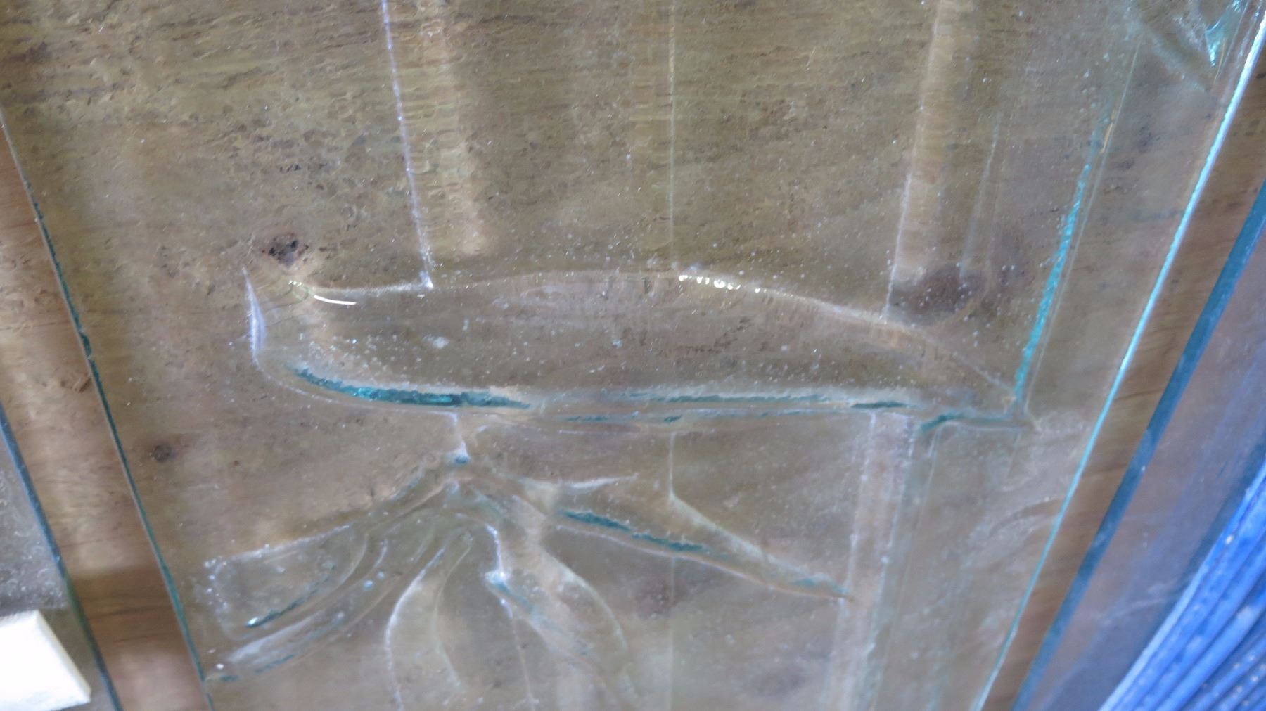 Textured Glass Panel 3 8 Clear Raised Bamboo Bird Of Paradise 16 X 60 667 Retail Textured Glass Panel 3 8 Clear Raised Bamboo Bird Of Paradise 16 X 60 667 Retail