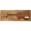 Image 1 : UKULELE