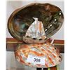 Image 1 : CARVED ABALONE SHELL TABLE LAMP SHIP MOTIF