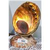 Image 1 : ABALONE SHELL LAMP