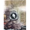Image 2 : 2002 CANADA GHOSTSHIP 50 CENTS SILVER COIN! FOLKLORE AND LEGENDS SERIES!