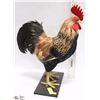 Image 1 : 1 -19" HIGH FEATHERED ROOSTER