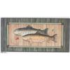 Image 1 : WOOD FISH HANGING PLAQUE (WALL DÉCOR)