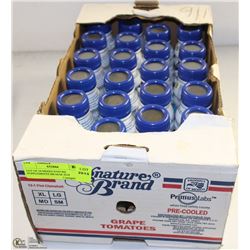 LOT OF 24 MIXED ENSURE SUPPLEMENTS BB MAR 2018