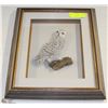Image 1 : OWL TOLLE FRAMED ART IN FRAME BY SMALLWOOD