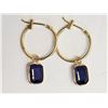 Image 1 : #4-14KT YELLOW GOLD BLUE SAPPHIRE (4.00CT) EARRING