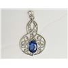 Image 1 : #5-14KT WHITE GOLD BLUE SAPPHIRE (1.00CT) PENDANT