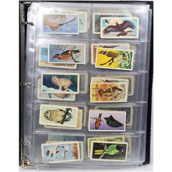 APPROX 140 BROOKE BONDS, BIRDS OF NORTH AMERICA