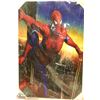 Image 1 : NEW CANVAS PRINT SPIDERMAN