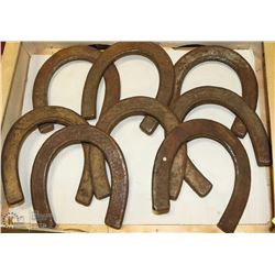 8 FORGED HAMMOND HORSE SHOES