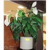 Image 1 : SHOWHOME ARTIFICIAL PLANT