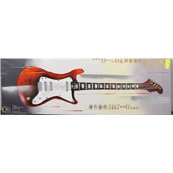GUITAR PICTURE