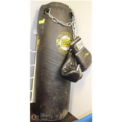 EVERLAST PROFESSIONAL PUNCHING BAG AND GLOVES