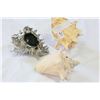 Image 2 : THREE CONCH SHELLS