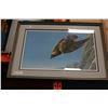 Image 1 : LIMITED EDITION SIGNED AND NUMBERED EAGLE PRINT