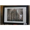 Image 1 : FRAMED FOREST PICTURE