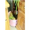 Image 2 : ARTIFICAL TREE IN PLANTER