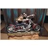 Image 1 : Road Rash Riding Dead Biker