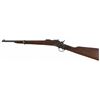 Image 7 : Remington Rolling Block 7MM Carbine