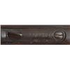 Image 14 : Winchester Model 1873 .44 WCF SRC