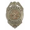 Image 1 : Comal County Texas Constable Badge