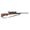 Image 1 : Remington Model 700 .243 WIN