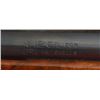 Image 5 : Remington Model 1100 12GA Shotgun