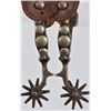 Image 2 : Spotted Buermann Spurs