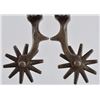 Image 3 : Spotted Buermann Spurs