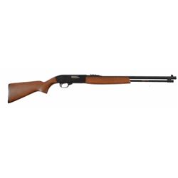 Sears Ted Williams Model 37 .22 Rifle