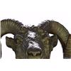 Image 3 : Detailed Wall Mount Rams Head Bronze Sculpture